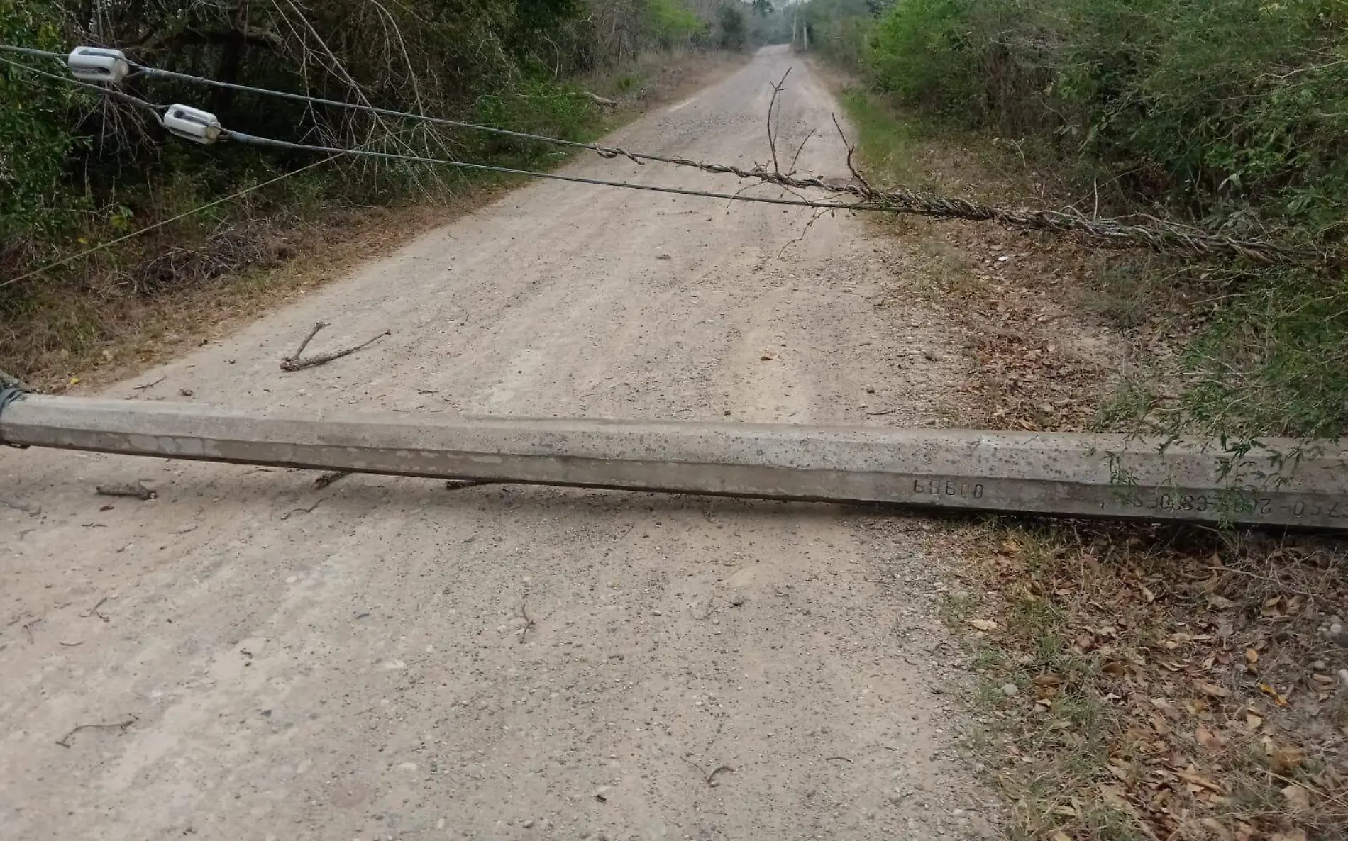 Poste derribado de CFE mantiene bloqueado un camino rural Cortesía Protección Civil (1)